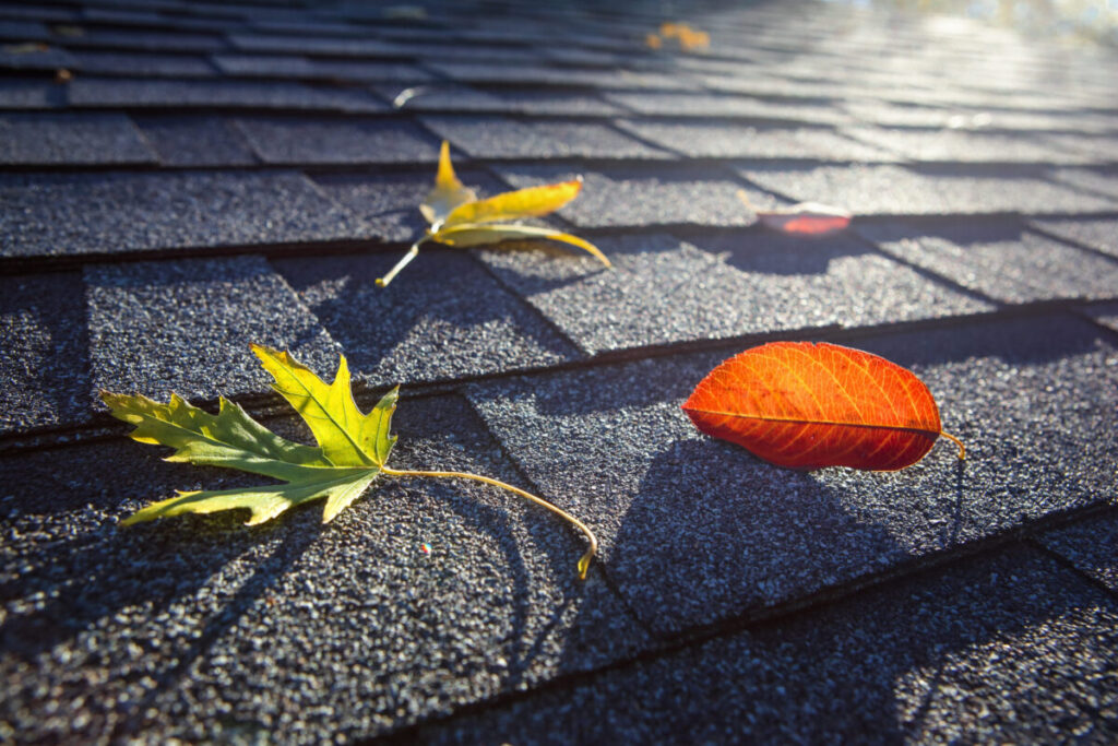 Get trusted legal help for roof fall injuries?