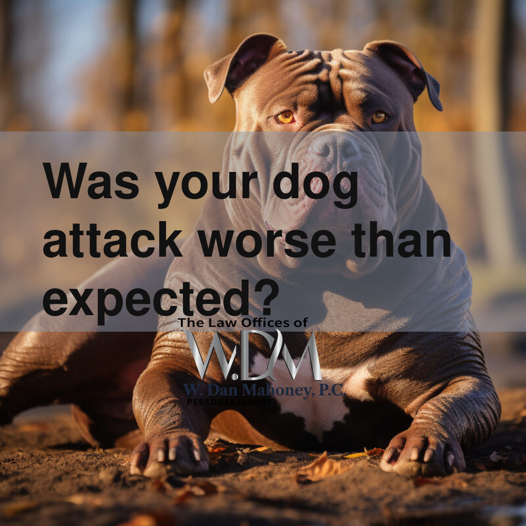 Was your dog attack worse than expected?