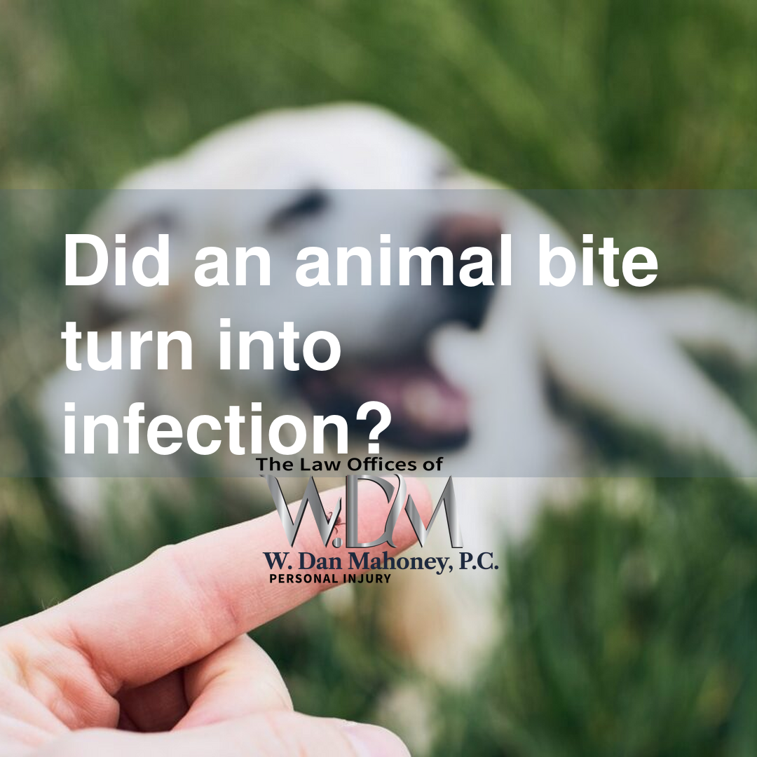 Did an animal bite turn into infection?