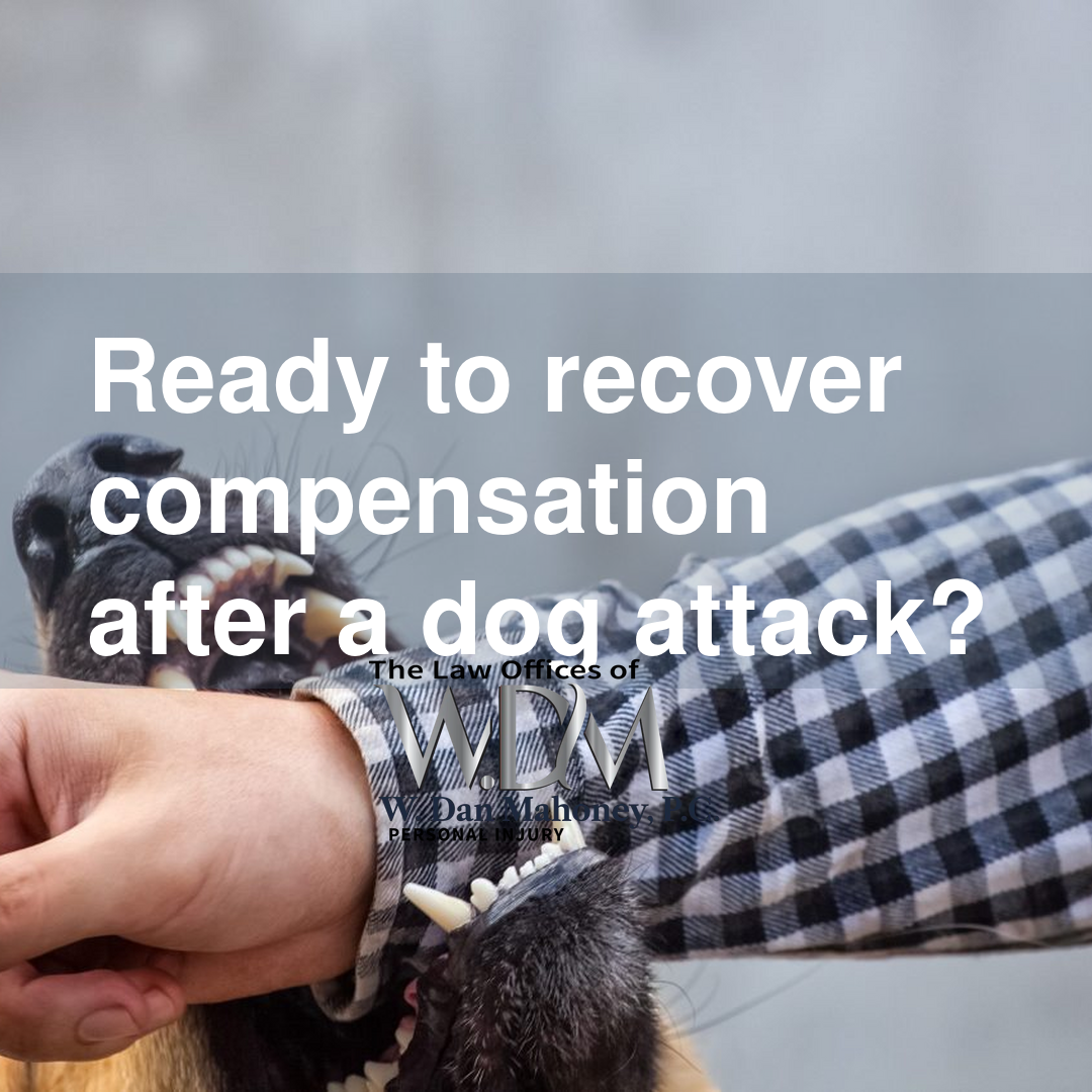 Ready to recover compensation after a dog attack?