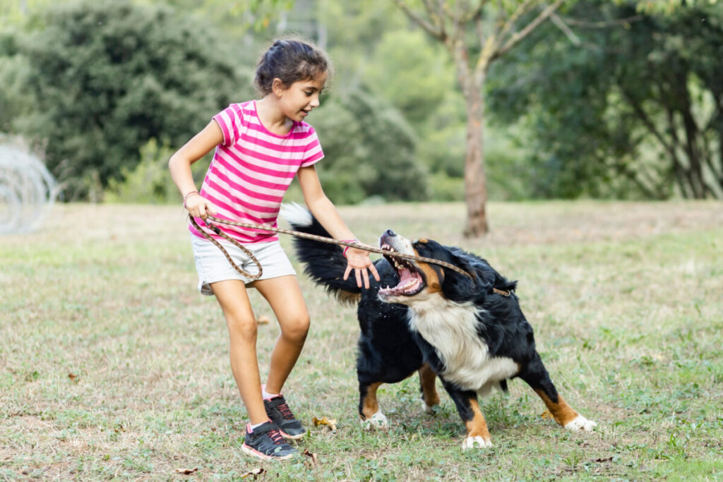 Did a dog bite your child?